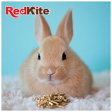 Category Thumbnail